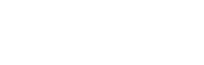 Optimus Interactive