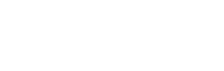 Optimus Interactive
