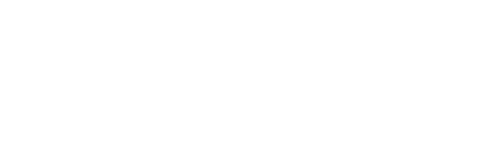 Optimus Interactive